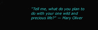 "Tell me, what do you plan to do with your one wild and precious life?" — Mary Oliver